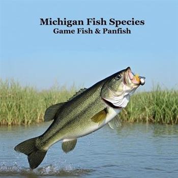 Michigan Game Fish and Panfish Species Kids Book