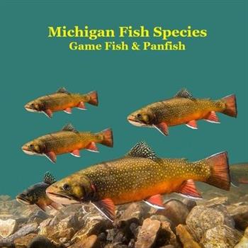 Michigan Game Fish and Panfish Species Kids Book