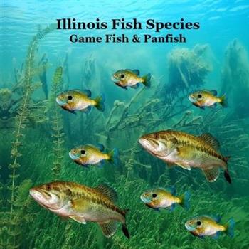 Illinois Game Fish and Panfish Species Kids Book Illinois Game Fish and Panfish Species Kids Book