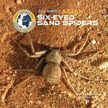 All about Asian Six-Eyed Sand Spiders