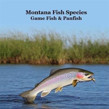 Montana Game Fish and Panfish Species Kids Book