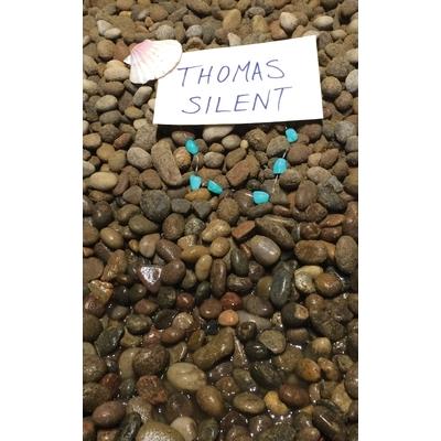 Thomas Silent