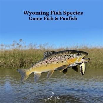 Wyoming Game Fish and Panfish Species Kids Book