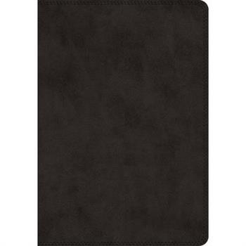 ESV Super Giant Print Bible (Trutone, Black)