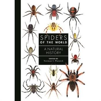 Spiders of the WorldA Guide to Every Family