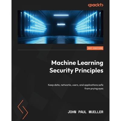 Machine Learning Security Principles