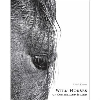 Wild Horses of Cumberland Island