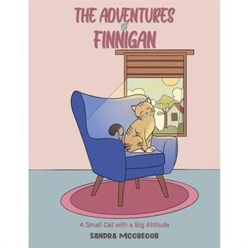 The Adventures Of Finnigan