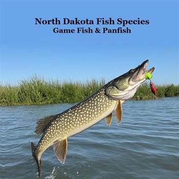 North Dakota Game Fish and Panfish Species Kids Book