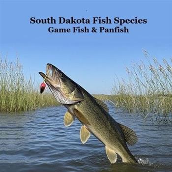 South Dakota Panfish and Game Fish Species Kids Book