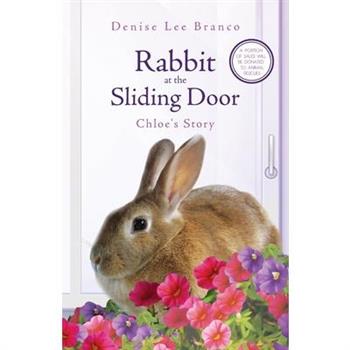 Rabbit at the Sliding Door