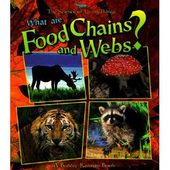 What Are Food Chains and Webs?