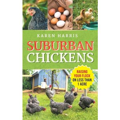 Suburban Chickens