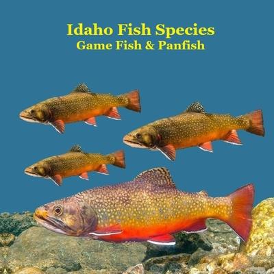 Idaho Panfish and Game Fish Species Kids Book Idaho Panfish and Game Fish Species Kids Book