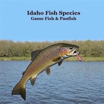 Idaho Panfish and Game Fish Species Kids Book