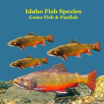 Idaho Panfish and Game Fish Species Kids Book Idaho Panfish and Game Fish Species Kids Book