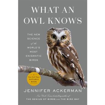 What an Owl Knows