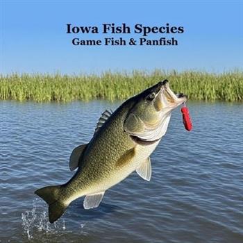 Iowa Game Fish and Panfish Species Kids Book