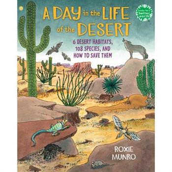 A Day in the Life of the Desert