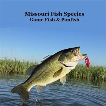 Missouri Game Fish and Panfish Species Kids Book