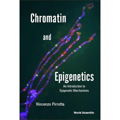 Chromatin and Epigenetics