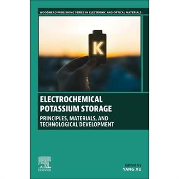 Electrochemical Potassium Storage