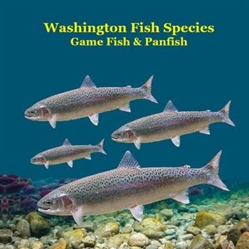 Washington State Game Fish and Panfish Species Kids Book Washington State Game Fish and Panfish Species Kids Book