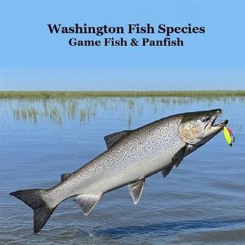 Washington State Game Fish and Panfish Species Kids Book