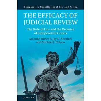 The Efficacy of Judicial Review