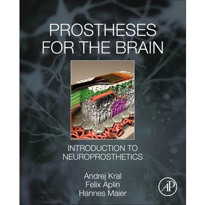 Prostheses for the Brain