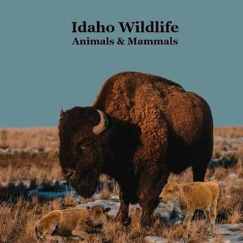Idaho Animals and Mammals Kids Wildlife Book