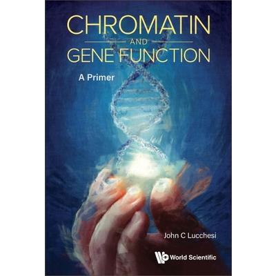 Chromatin and Gene Function: A Primer