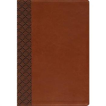 Amplified Holy Bible, Large Print, Leathersoft, Brown