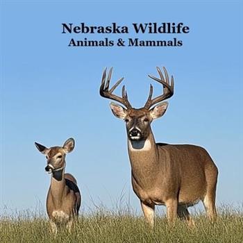 Nebraska Animals and Mammals Kids Wildlife Book
