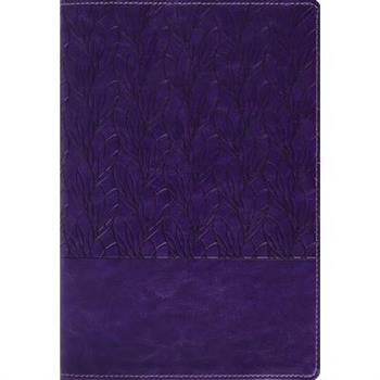 Amplified Holy Bible, Large Print, Leathersoft, Purple