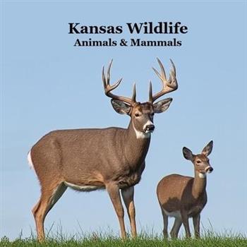Kansas Animals and Mammals Kids Wildlife Book