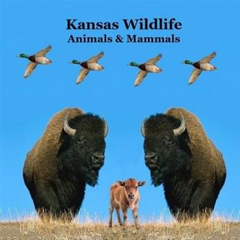 Kansas Animals and Mammals Kids Wildlife Book