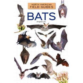 Bats