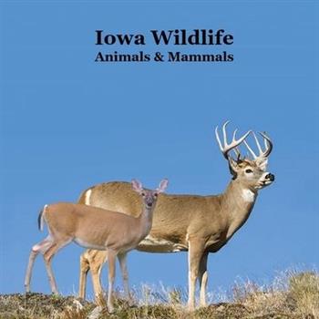 Iowa Animals and Mammals Kids Wildlife Book