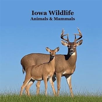 Iowa Animals and Mammals Kids Wildlife Book