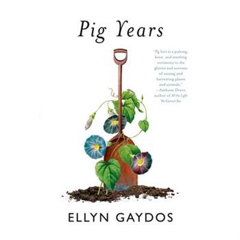 Pig Years