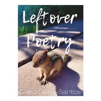 Leftover Poetry
