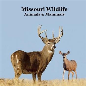 Missouri Animals and Mammals Kids Wildlife Book