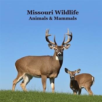 Missouri Animals and Mammals Kids Wildlife Book
