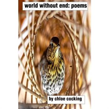 world without end