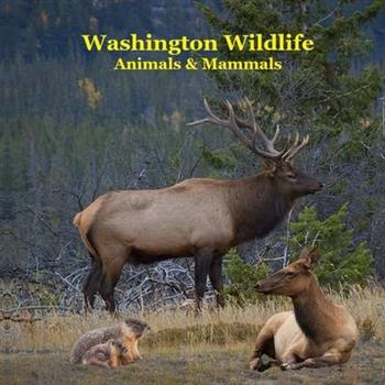 Washington State Animals and Mammals Kids Wildlife Book
