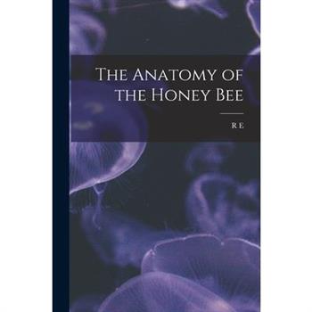 The Anatomy of the Honey Bee
