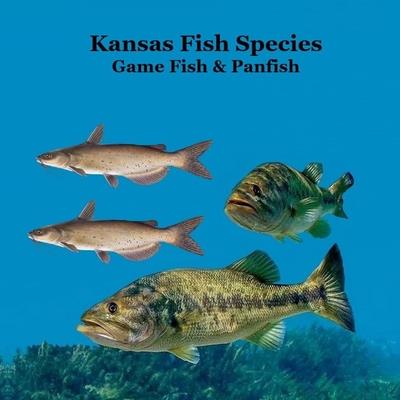 Kansas Game Fish and Panfish Species Kids Book Kansas Game Fish and Panfish Species Kids Book