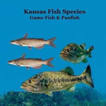 Kansas Game Fish and Panfish Species Kids Book