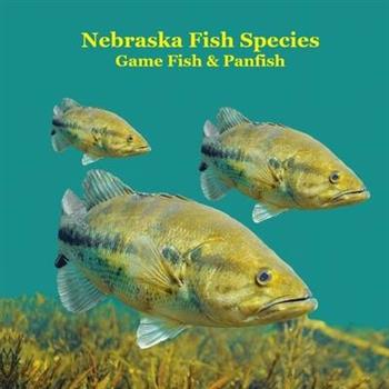 Nebraska Game Fish and Panfish Species Kids Book